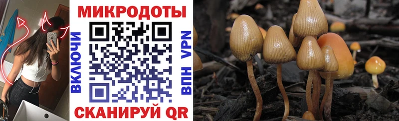 Псилоцибиновые грибы ЛСД  Лабинск 