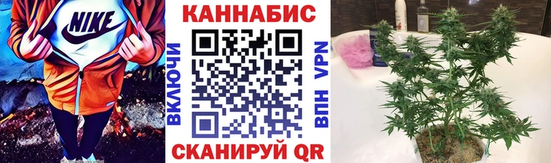 где найти   Лабинск  Канабис ГИДРОПОН 